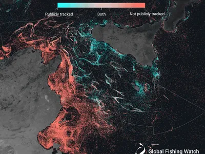 A map of fishing vessels operating between Tunisia and Sicily reveals lots of untracked activity.