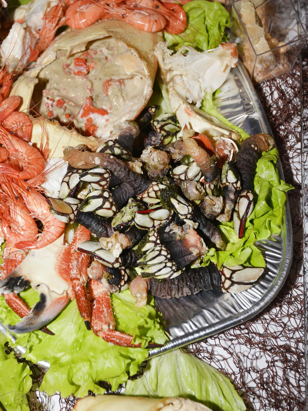 gooseneck barnacles with other seafood