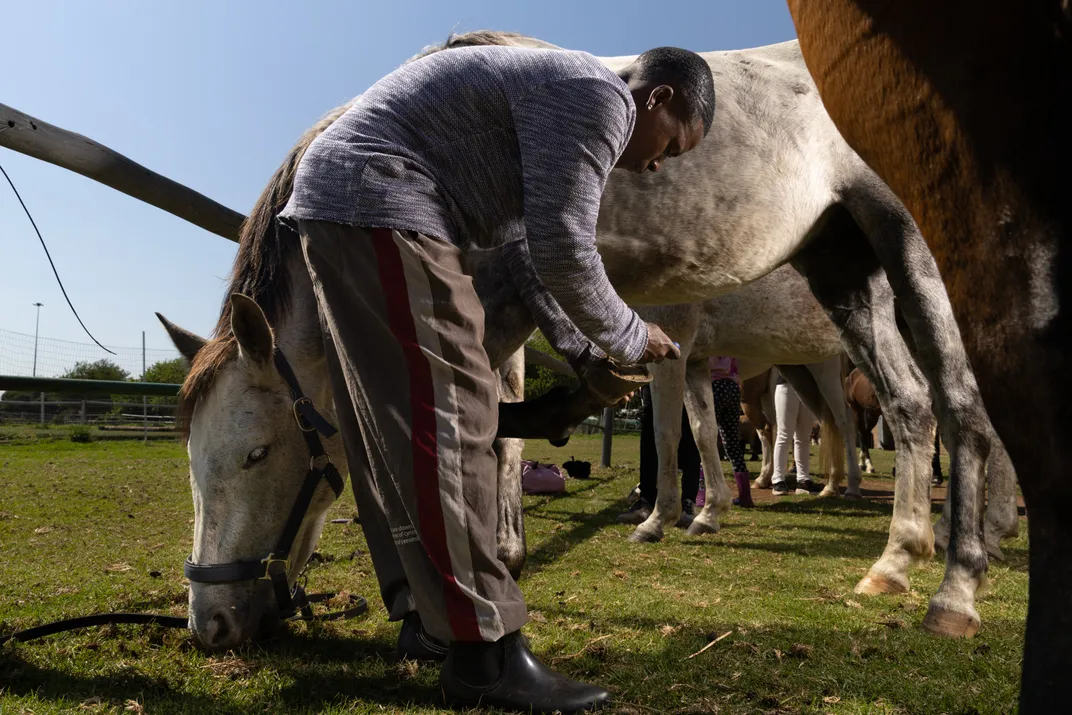 Trainee Kabelo uses a hoofpick to remove  debris from a horse’s hooves.