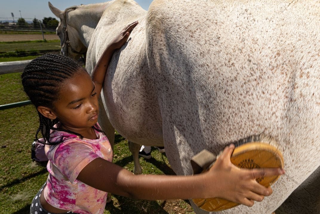 Skylar Sultan gives a horse a final going-over.