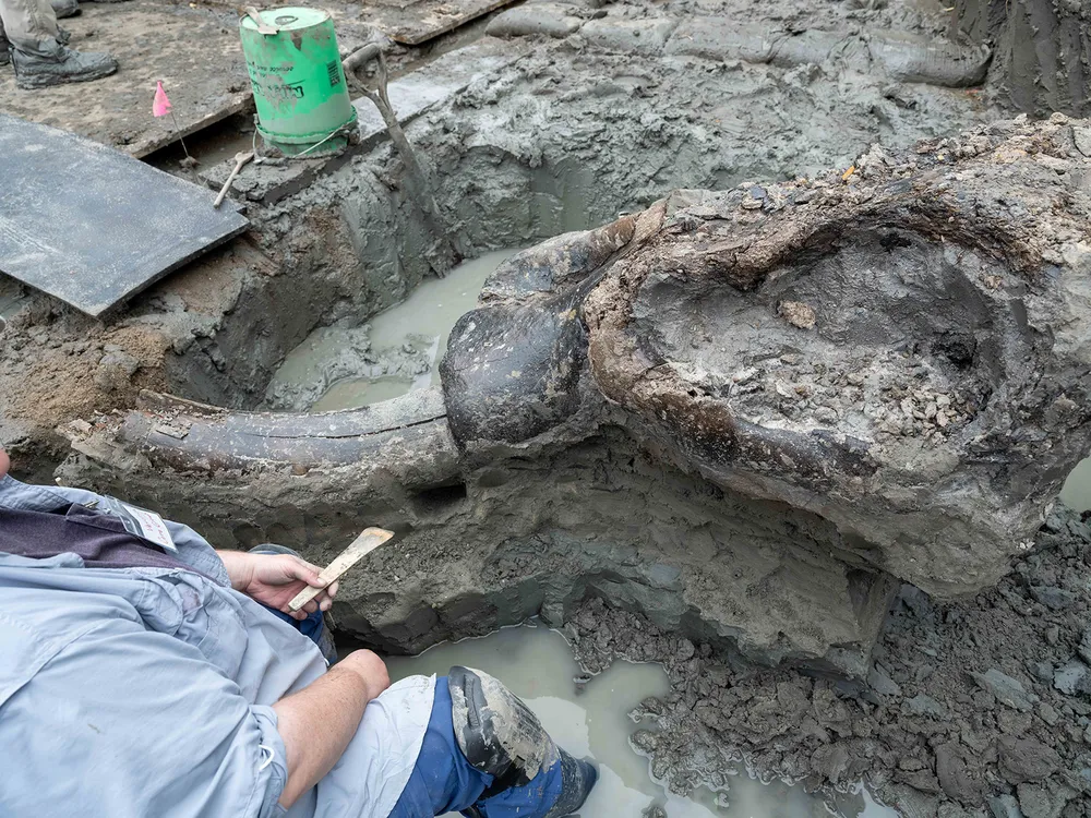 A muddy area with a mastodon skull sticking out of the ground and a person's body nearby