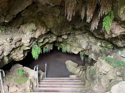 Maidenhair ferns frame the cavernous entrance to a 350-foot-long cave that opens in the backyard of an Auckland suburban home.