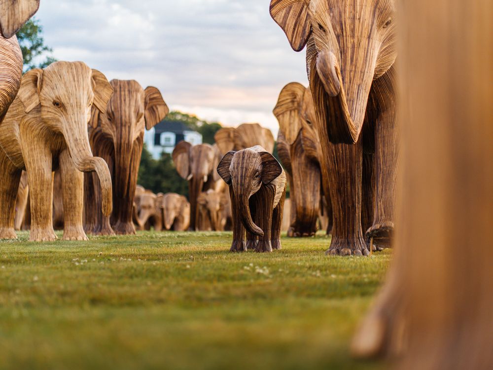 Group of large elephant sculptures