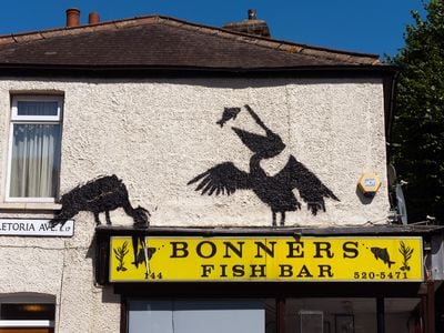 Banksy&#39;s latest mural, which depicts two pelicans eating fish,&nbsp;on August 9.